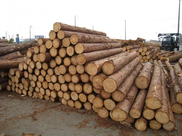 木材市場に制限サムネイル